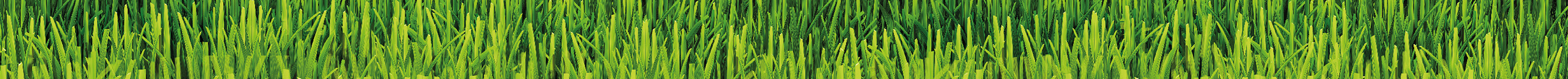 Lavanauha: Nurmikkokuvitus 420x15 cm
